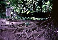 coimbra garden